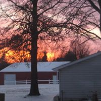 Susan Brammer Photo 9