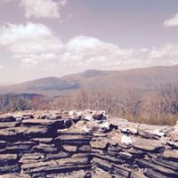 Cynthia Dellinger Photo 3