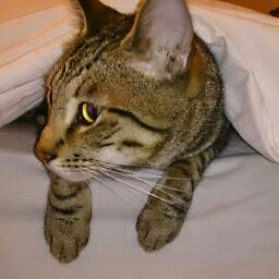 Michelle Binns Photo 7