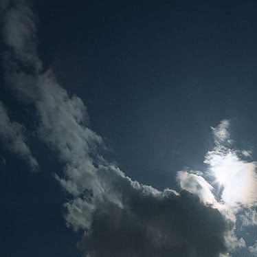 Dean Nelson Photo 40