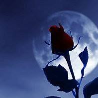 Theresa Mathews Photo 13