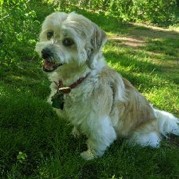 Nancy Hurley Photo 19