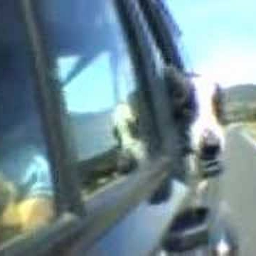 Laura Lamar Photo 17