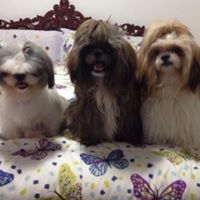 Julie Arevalo Photo 12