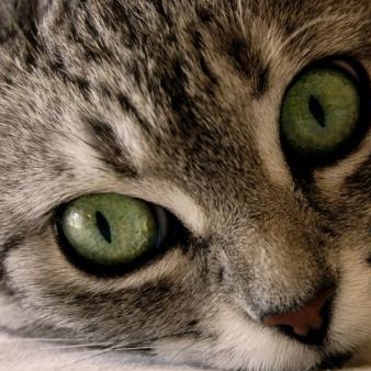 Richard Miles Photo 26