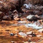 Wayne Robertson Photo 15