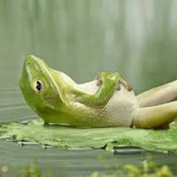 Rick Forrest Photo 14