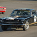 Andrew Ford Photo 16