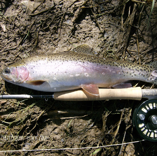 Brian Ray Photo 18 Brian Ray Photo 18