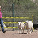 Kimberly Olson Photo 33