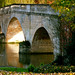 John Shillingford Photo 4