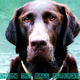 Jeffrey Cain Photo 23