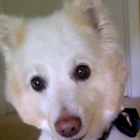 Jacqueline Browne Photo 21