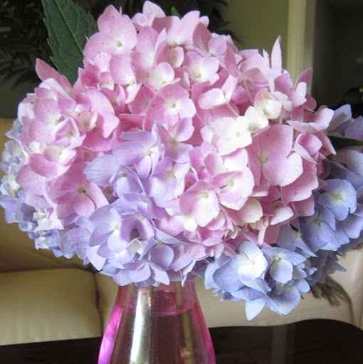 Laurie Weaver Photo 4