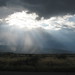 Christine Roney Photo 15