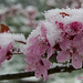 Gary Welch Photo 38