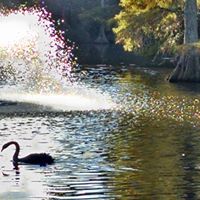 Tonya Small Photo 13