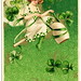 Patrice Green Photo 7