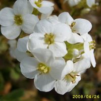 Lisa Nava Photo 20