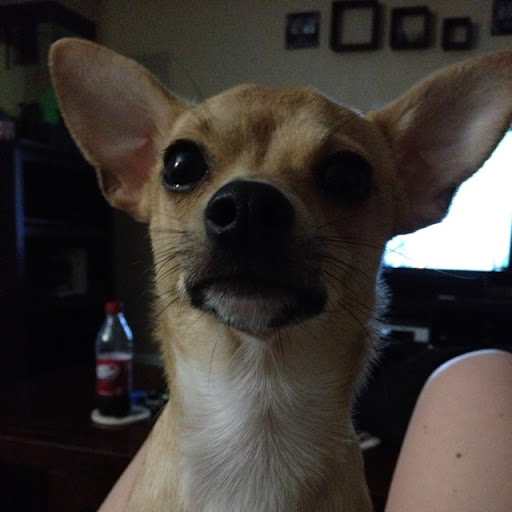 Christine Mclean Photo 35