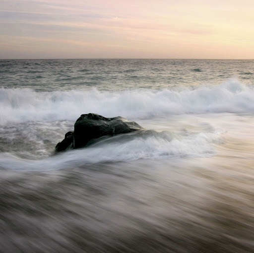 Eugene Scott Photo 34 Eugene Scott Photo 34