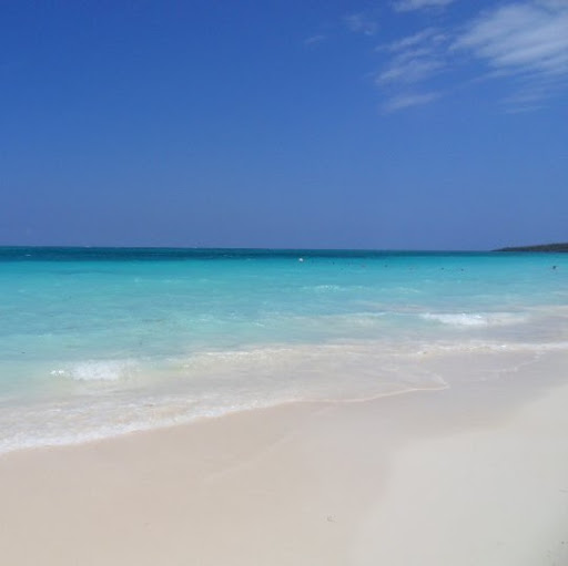 Kelly Cooper Photo 36