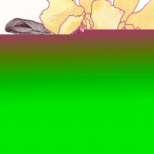 Martha Steele Photo 27