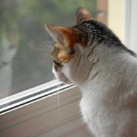 Jennifer Trimble Photo 13 Jennifer Trimble Photo 13