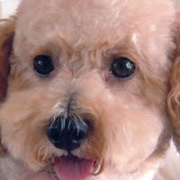 Deborah Cady Photo 12