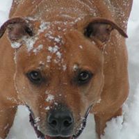 Christopher Joyce Photo 18