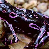 Victoria Mayer Photo 7