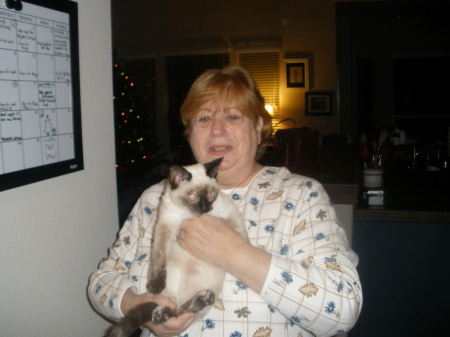 Carole Cohen Photo 29