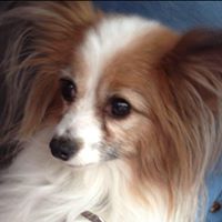 Connie Middleton Photo 15