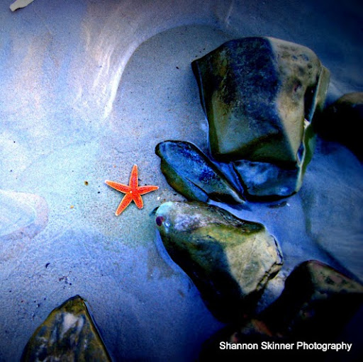 Shannon Skinner Photo 31