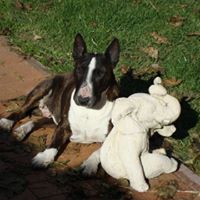 Cheryl Clifford Photo 20