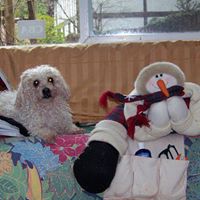 Kathlene Ingram Photo 10