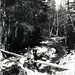 Mary Wilbur Photo 9