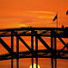 Jan Coats Photo 20