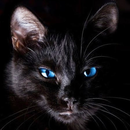 Julia Hilton Photo 9