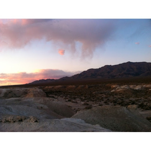 Kathleen Springer Photo 39