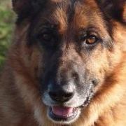 Debra Mcelroy Photo 17