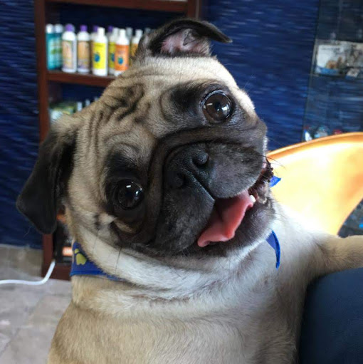 Rene Wright Photo 11