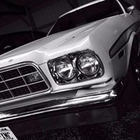 Brandon Will Photo 7