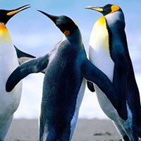 Mildred Wheeler Photo 31