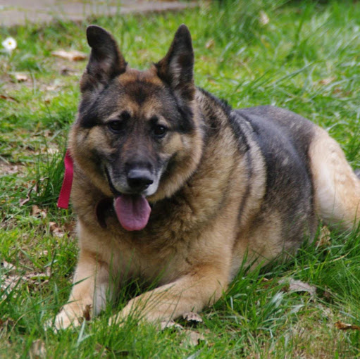 Rebekah Mann Photo 8