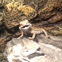 Teresa Bowden Photo 32