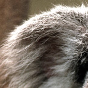 Steven Howard Photo 42 Steven Howard Photo 42