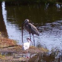 Tracy Mcmahon Photo 12