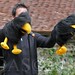 Steve Crow Photo 17