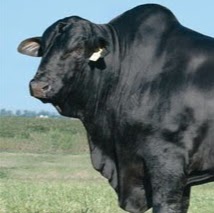 Luis Alvarez Photo 36